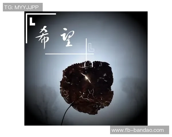 海纳回忆妻子痴呆症去世经历愿患者珍藏快乐时光的记忆